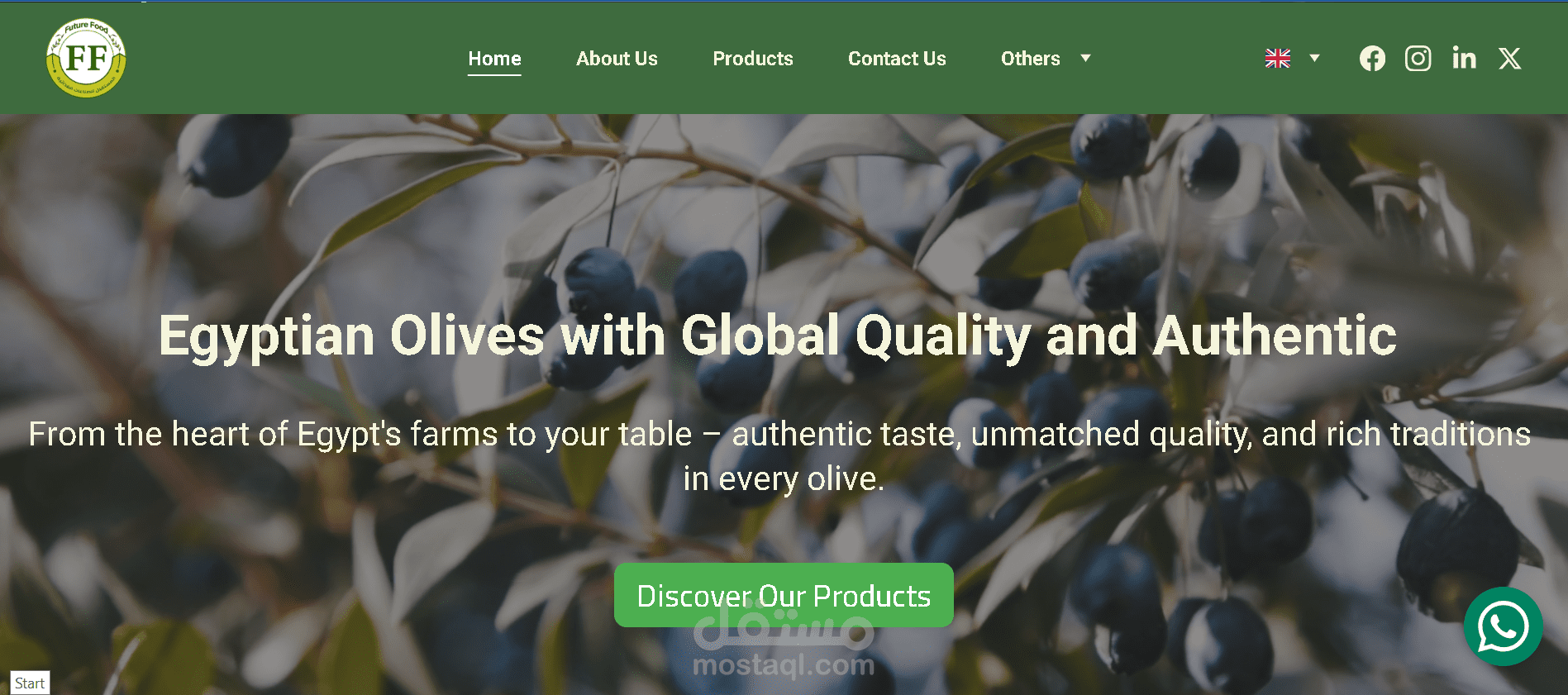 اسم المشروع: إنشاء موقع إلكتروني احترافي لشركة تصدير الزيتون Future Foods