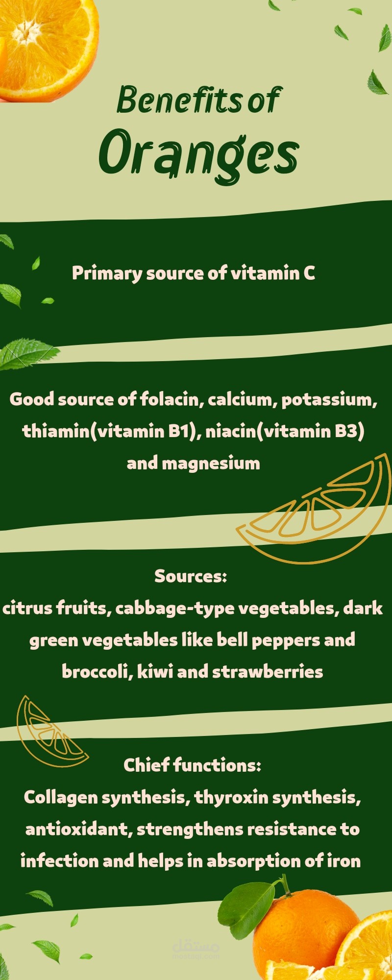 انفو غرافيك