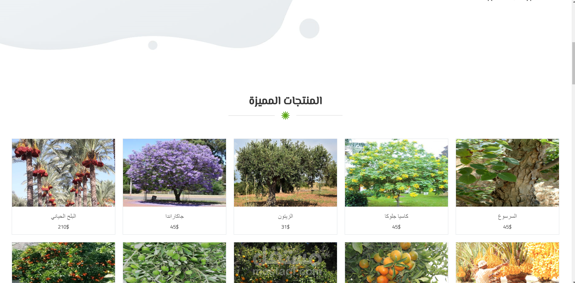 Plant a Tree