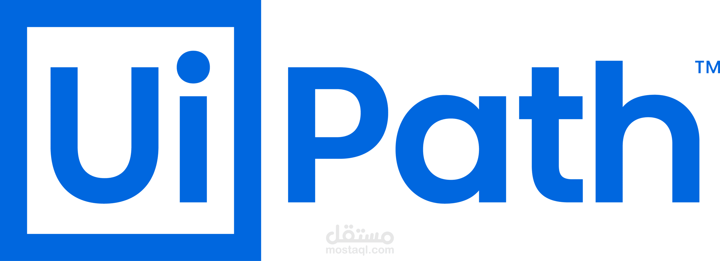 Robotic Process Automation Developer