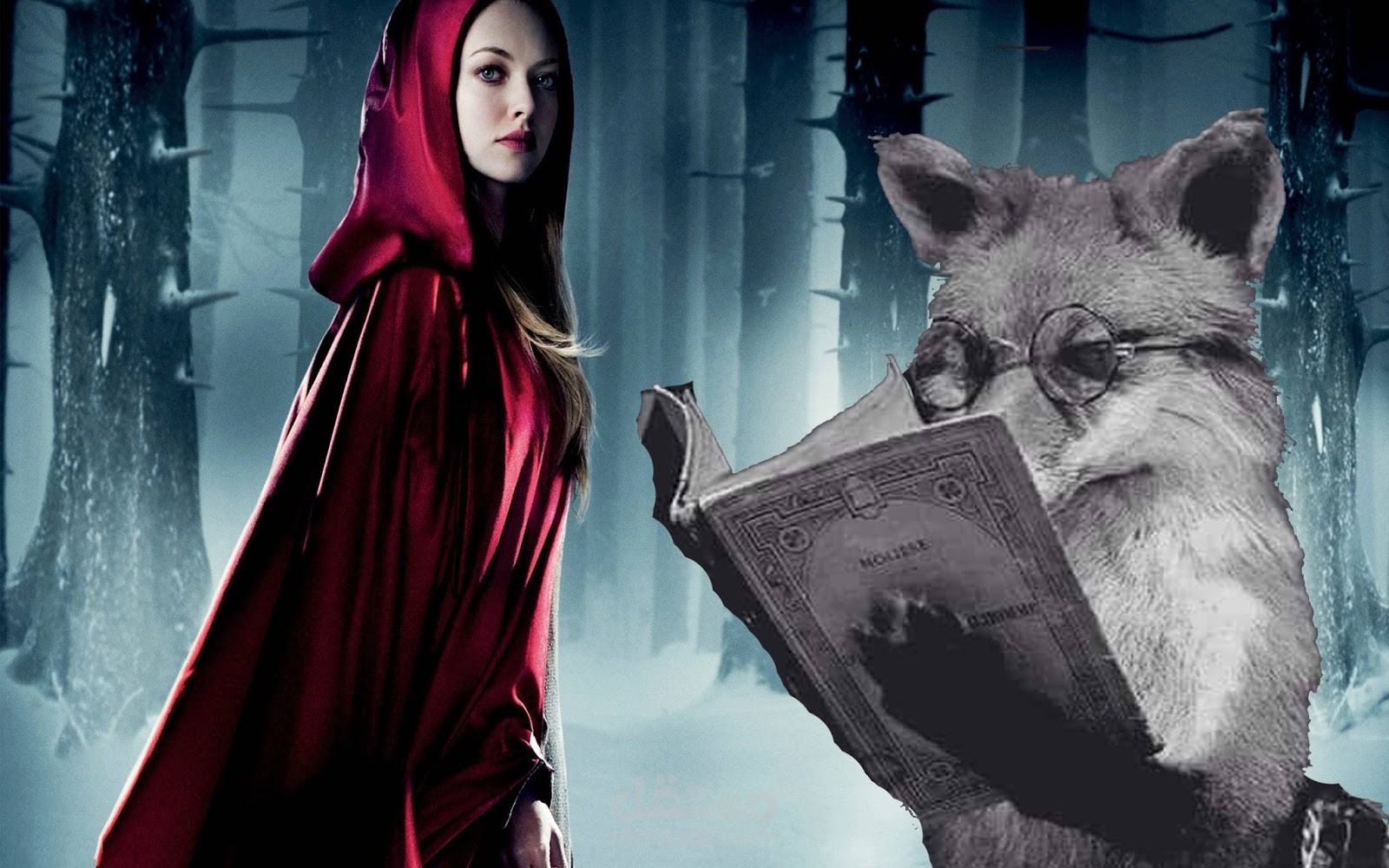 قصه ليلي والذئب على لسان حفيد الذئب