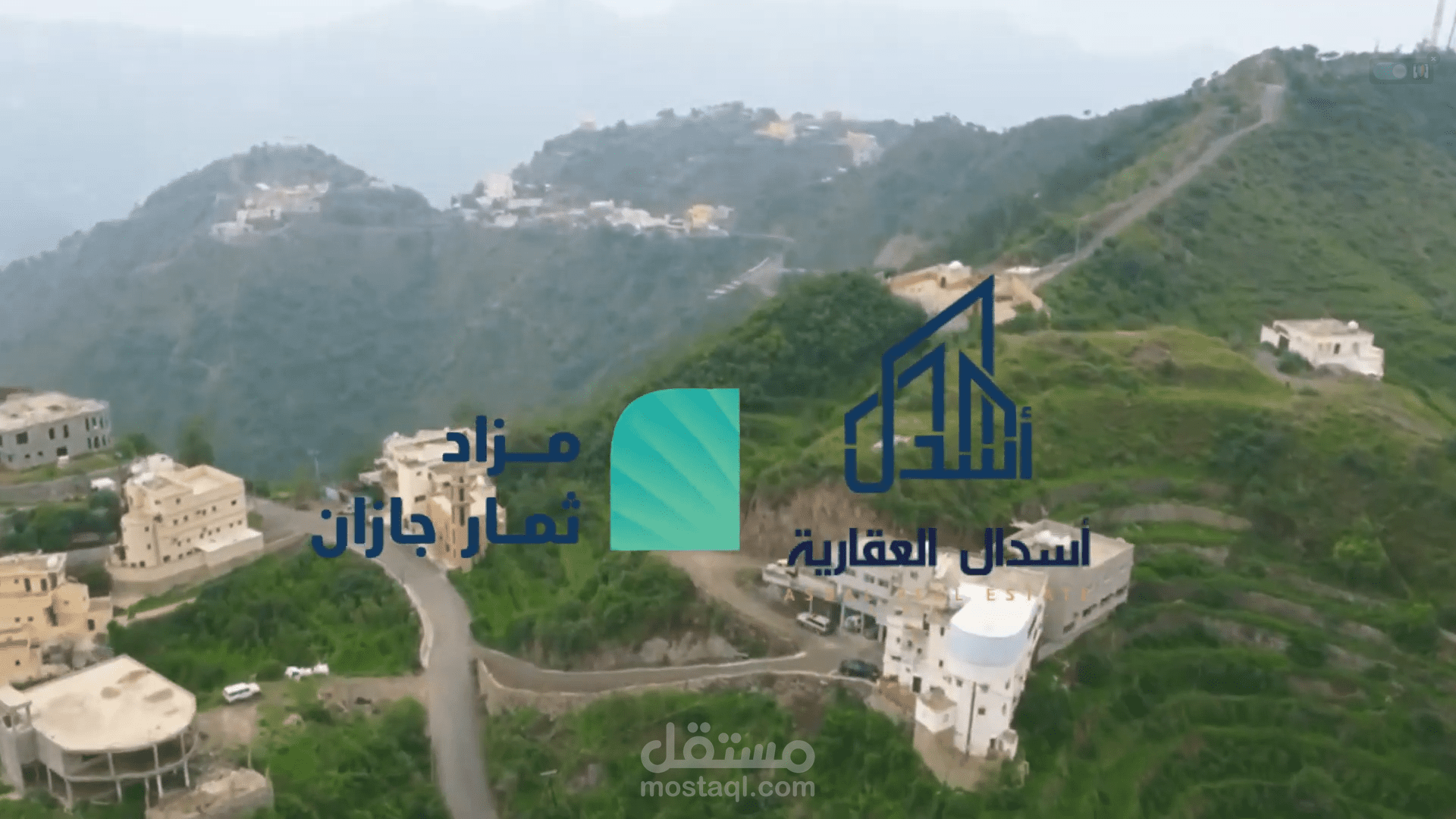 مزاد ثمار جازان