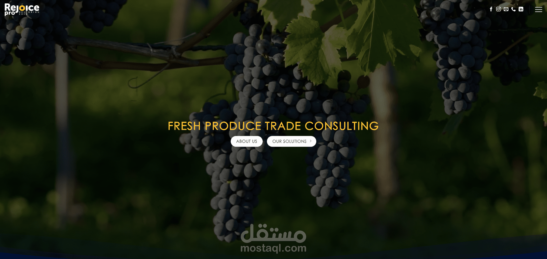 موقع شركة RejoicePro Consulting