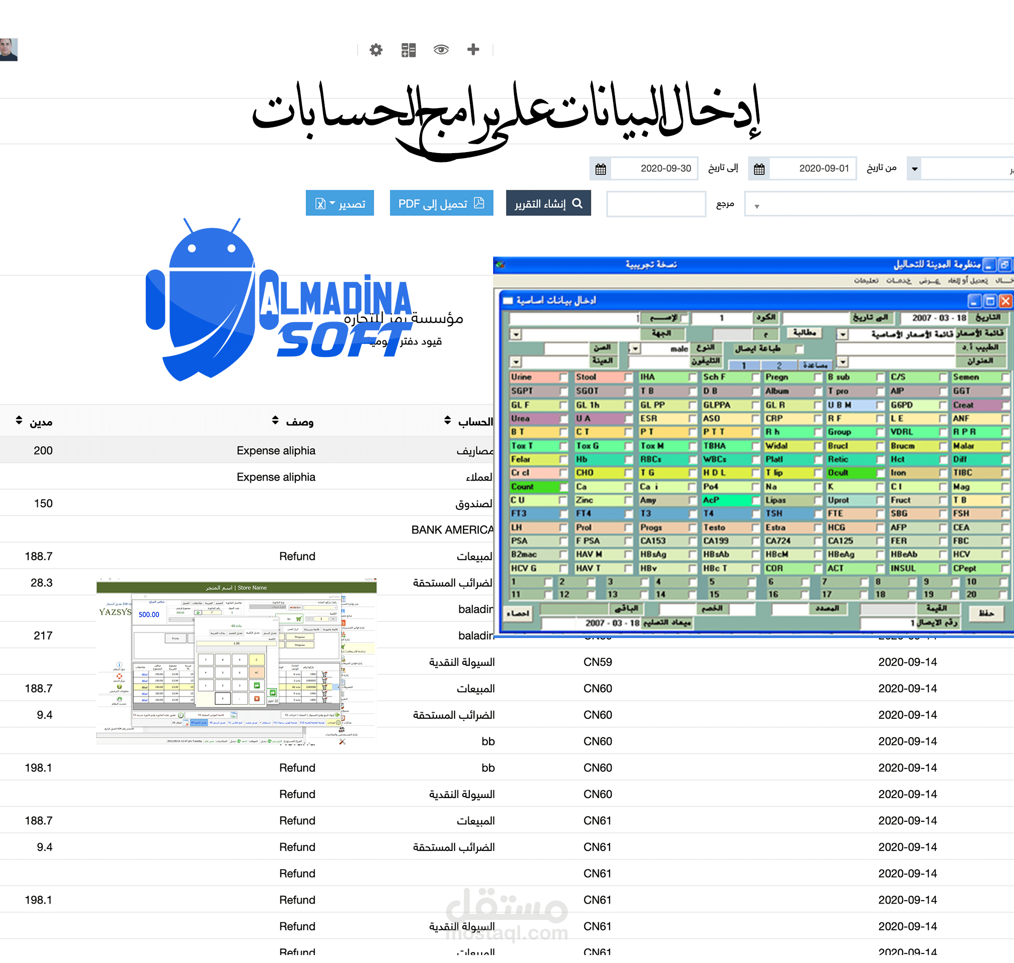 إدخال البيانات على برامجة الحسابات