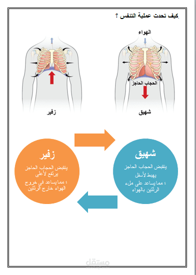 ملف ورد قمت بإعداده وتصميمه