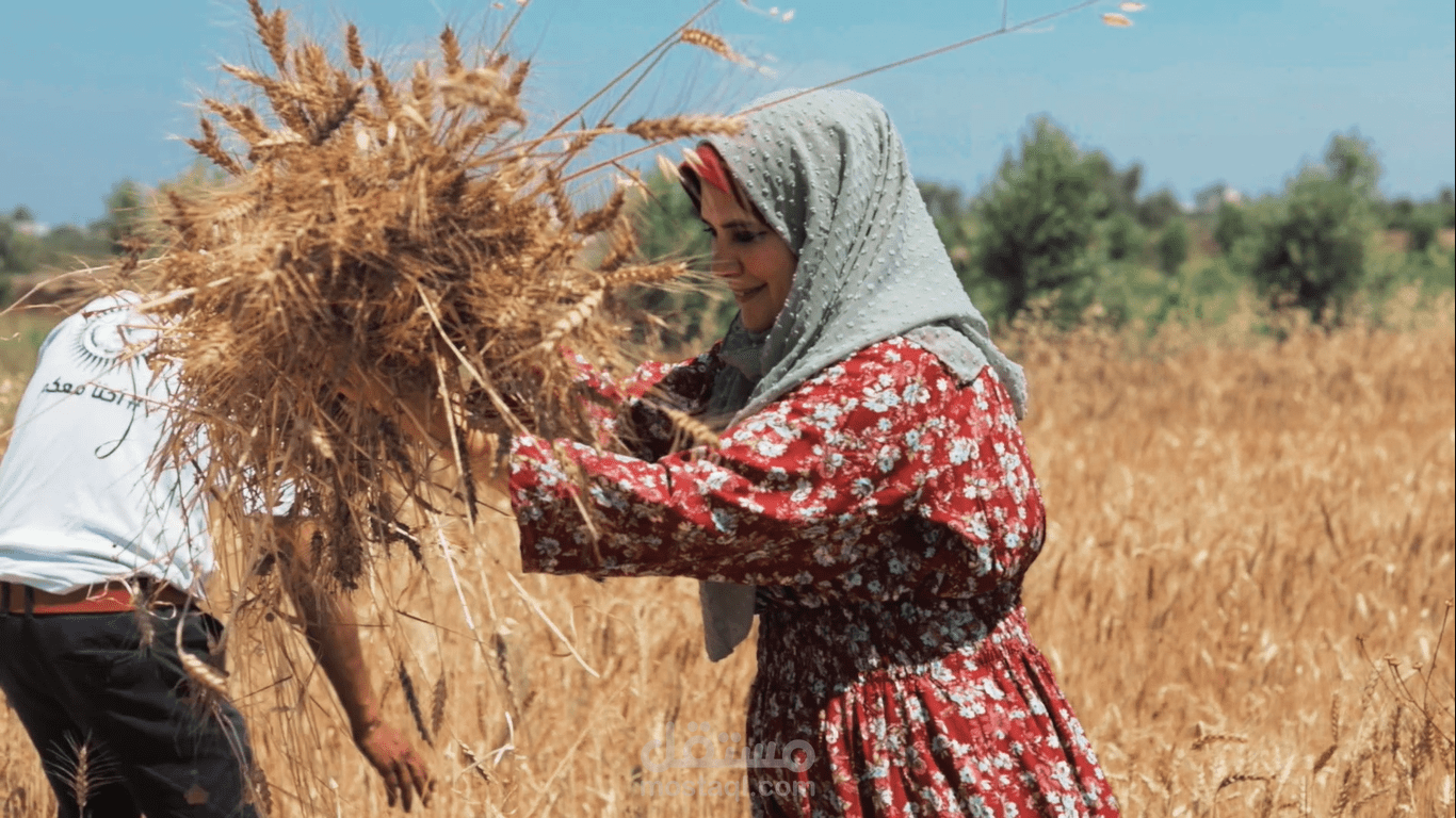 تصوير ومونتاج برومو مسار حصاد القمح