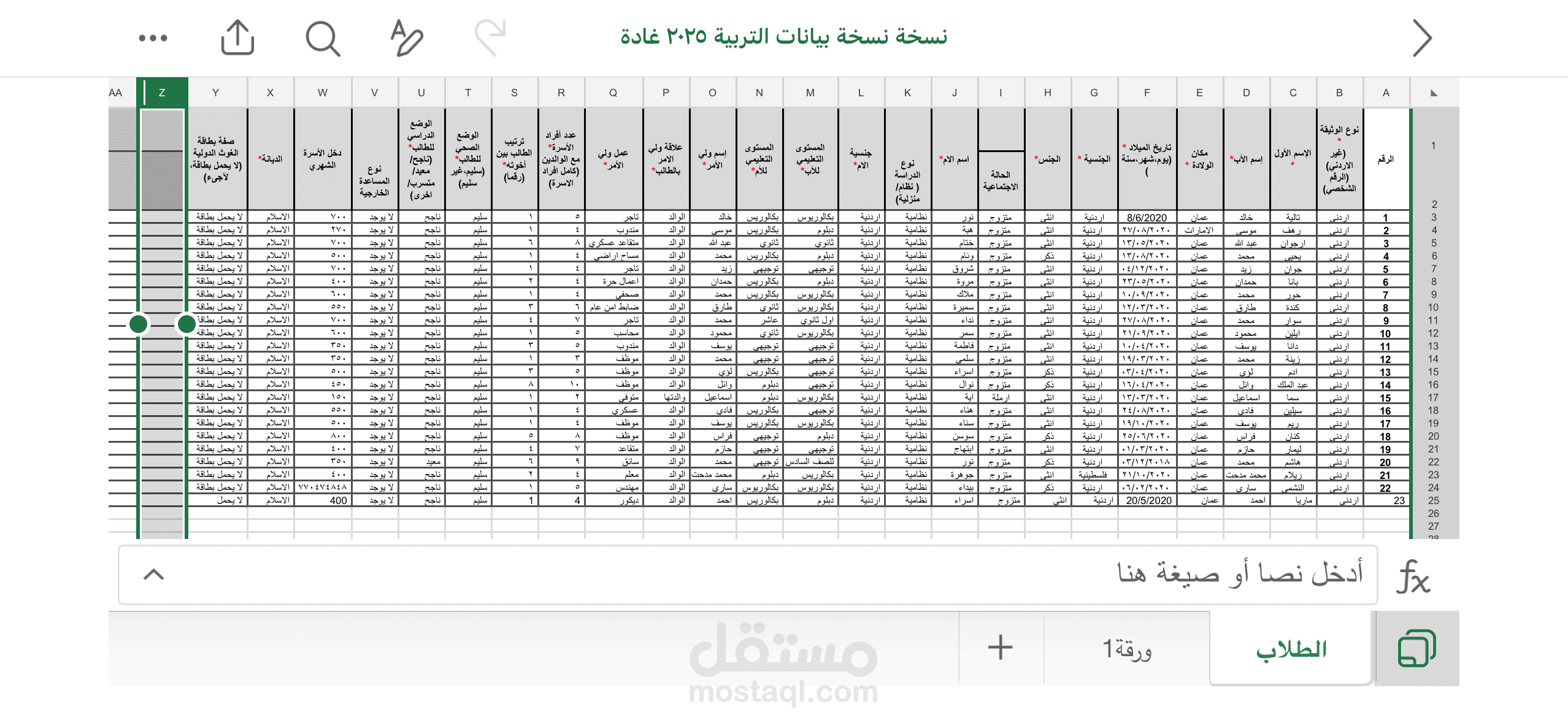 إدخال وتنظيم قاعدة بيانات شاملة باستخدام Excel