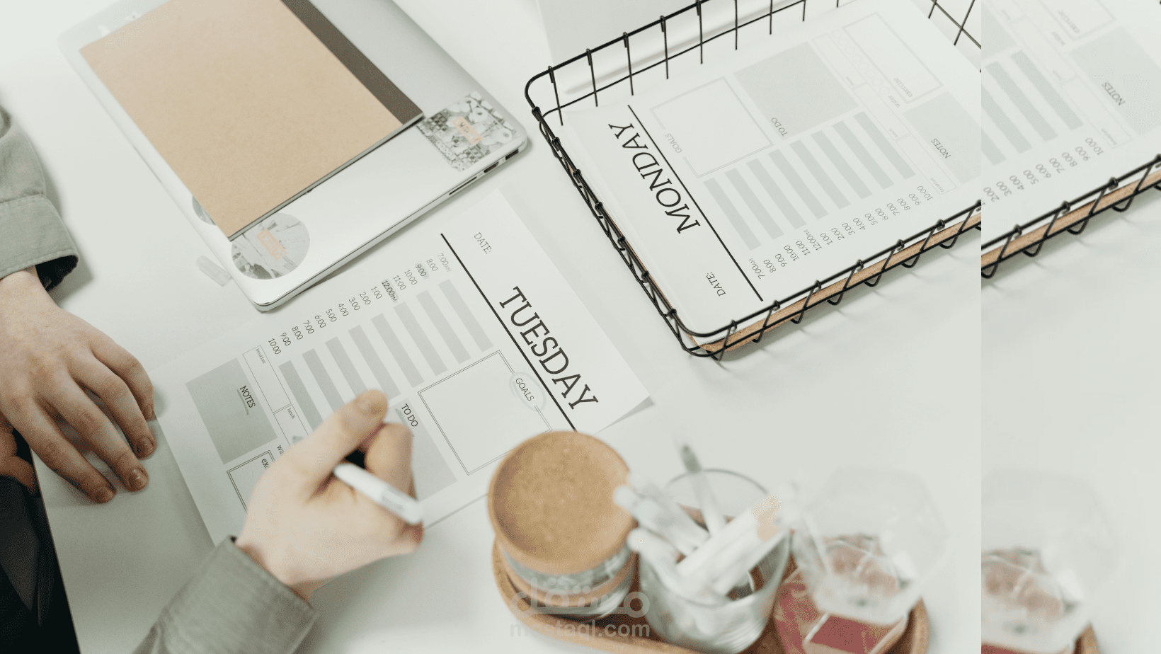 تصميم سيرة ذاتية CV