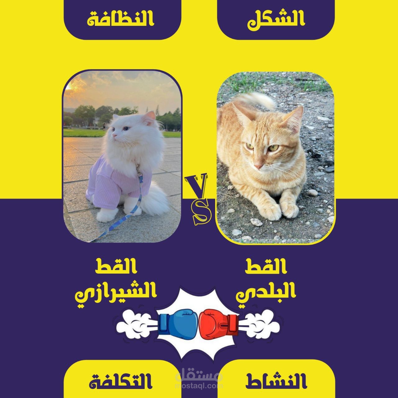 صور ل محتوي طبي بيطري من تصميمي