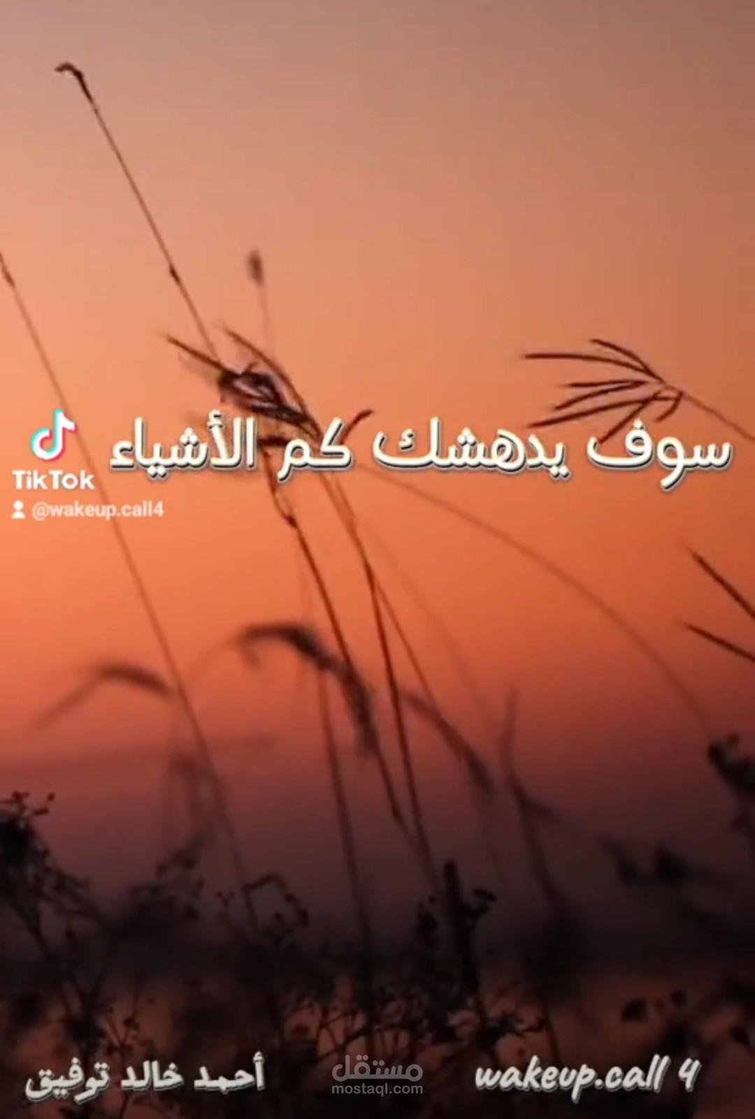 صناعة فيديو بصوتي