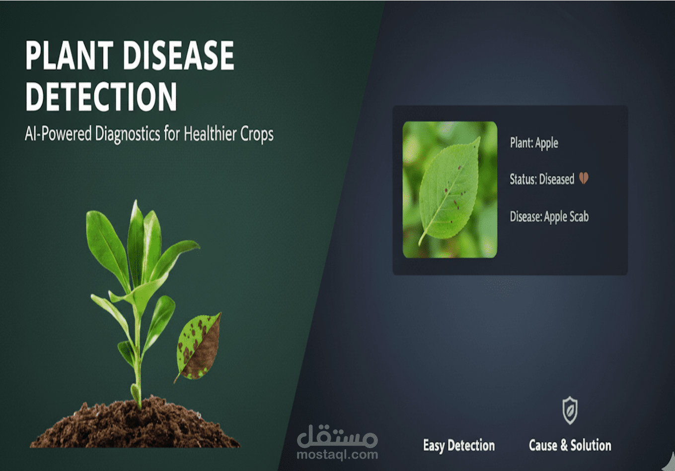 نظام PAND لاكتشاف أمراض النباتات باستخدام الذكاء الاصطناعي و Computer Vision