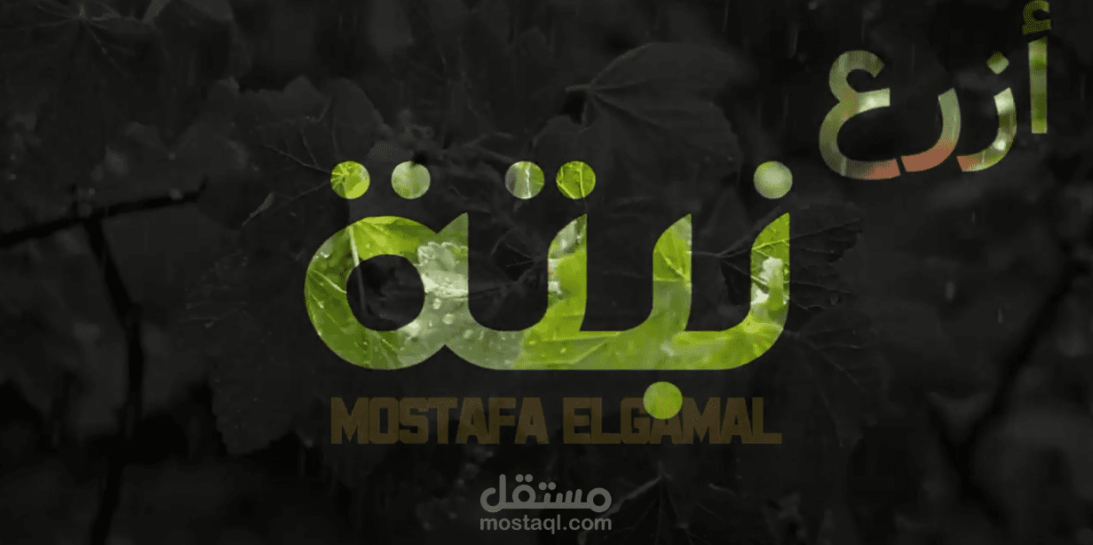 أزرع نبتة