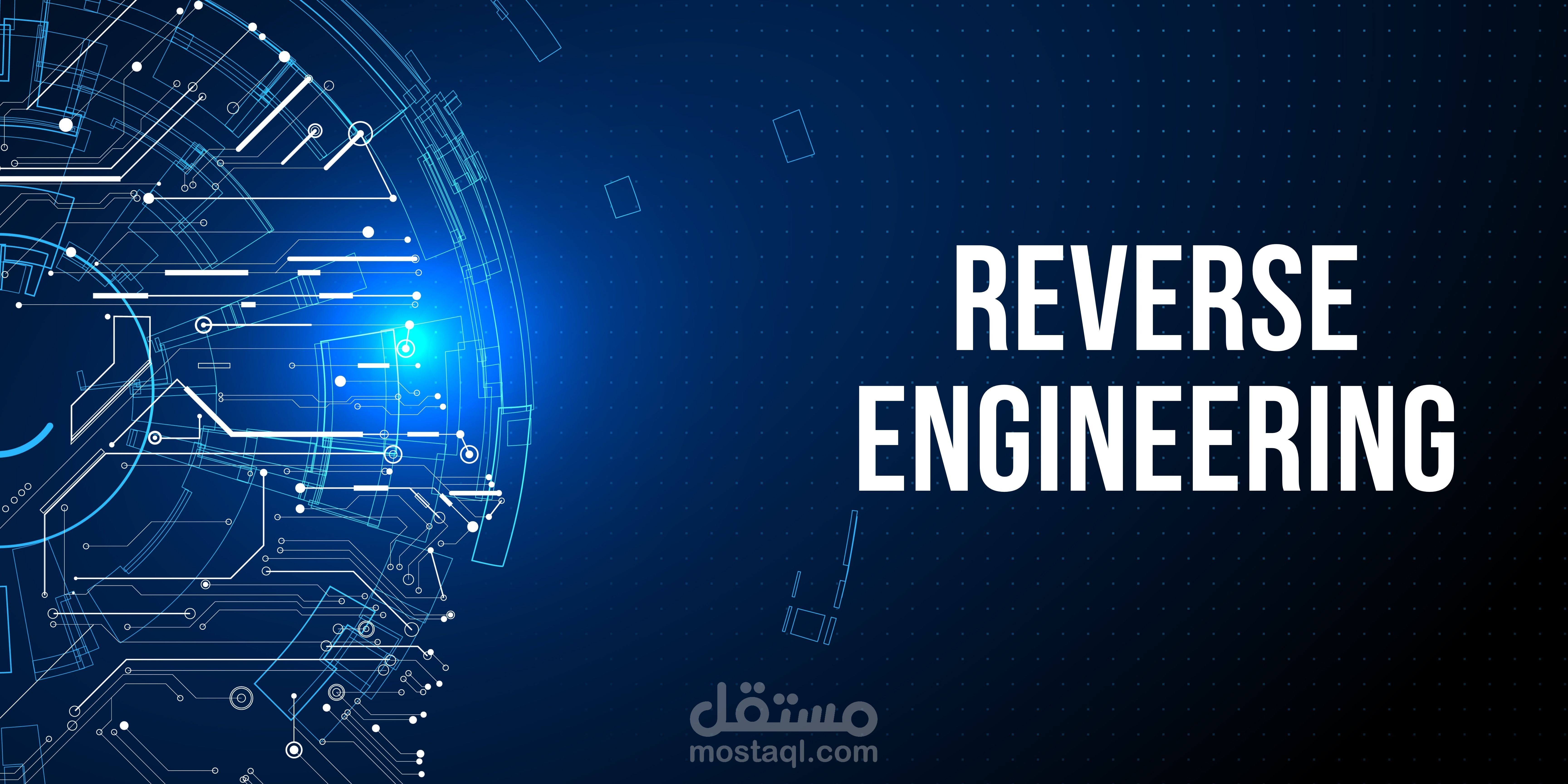 Reverse Engineering Projects