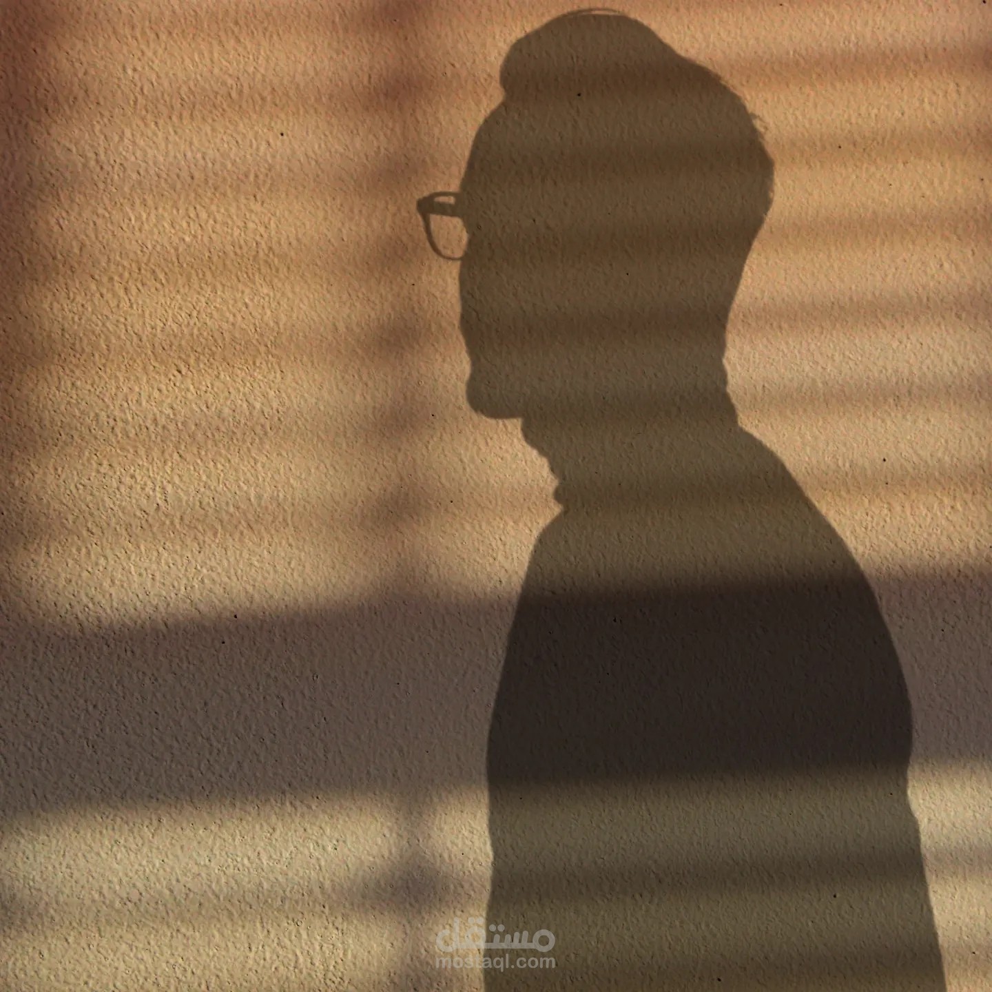 تحويل الصورة لظل علي الحائط