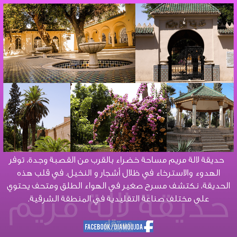 تصميم الأفكار التصميم الإبداعي  لfacebook