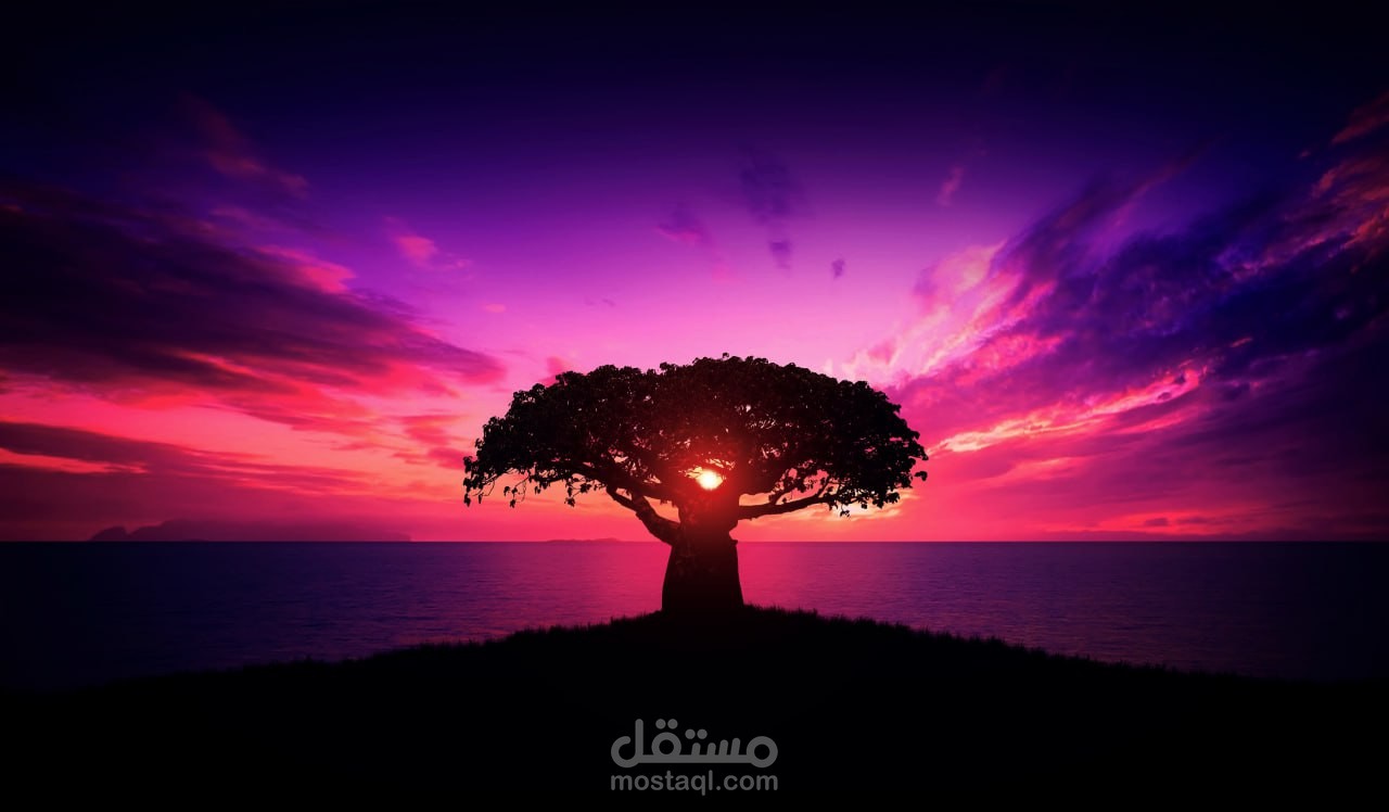 الكتابة،الترجمه ، التلخيص،التصميم