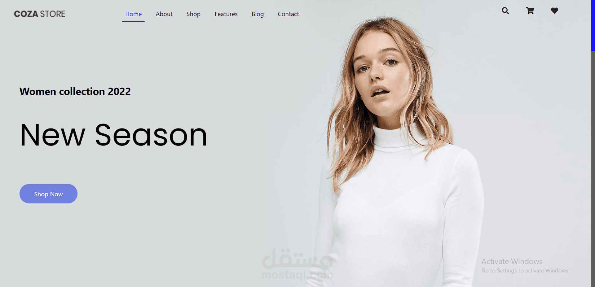 Front - End Project / Online Store