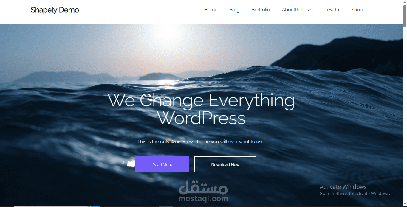 Front - End Project / Shapely