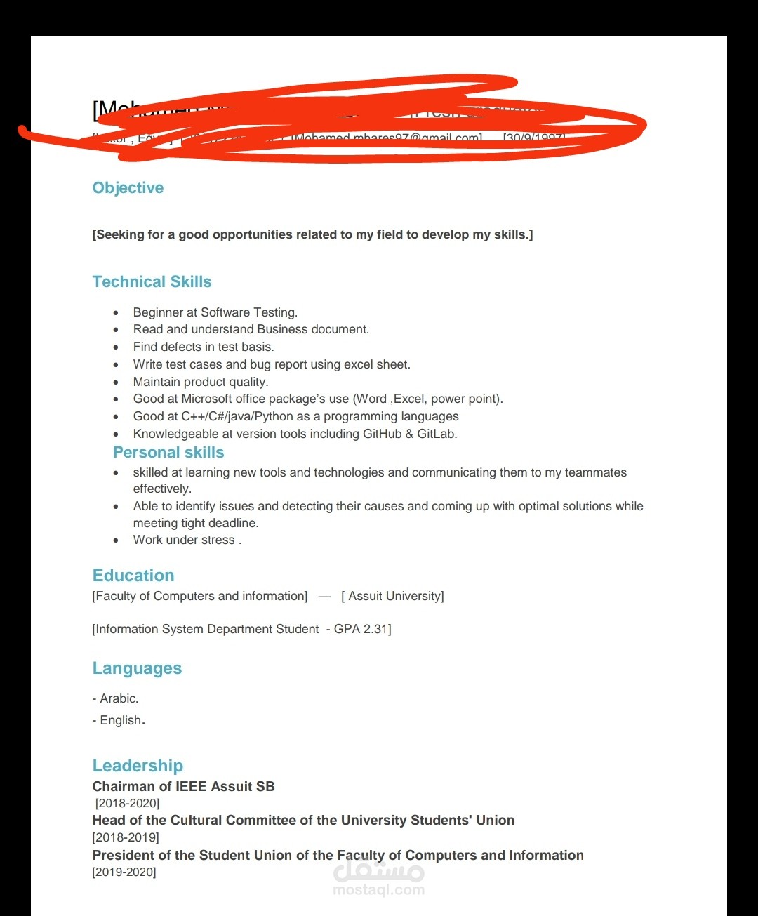 Cv writing as SW testing