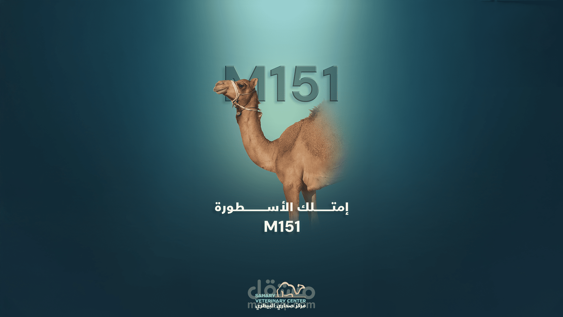 مهرجان خادم الحرمين الشريفين للهجن - Motion Graphics