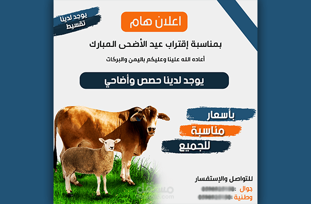 تصاميم  إعلان