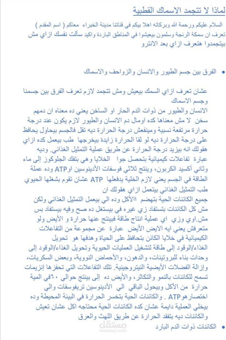كتابة محتوي