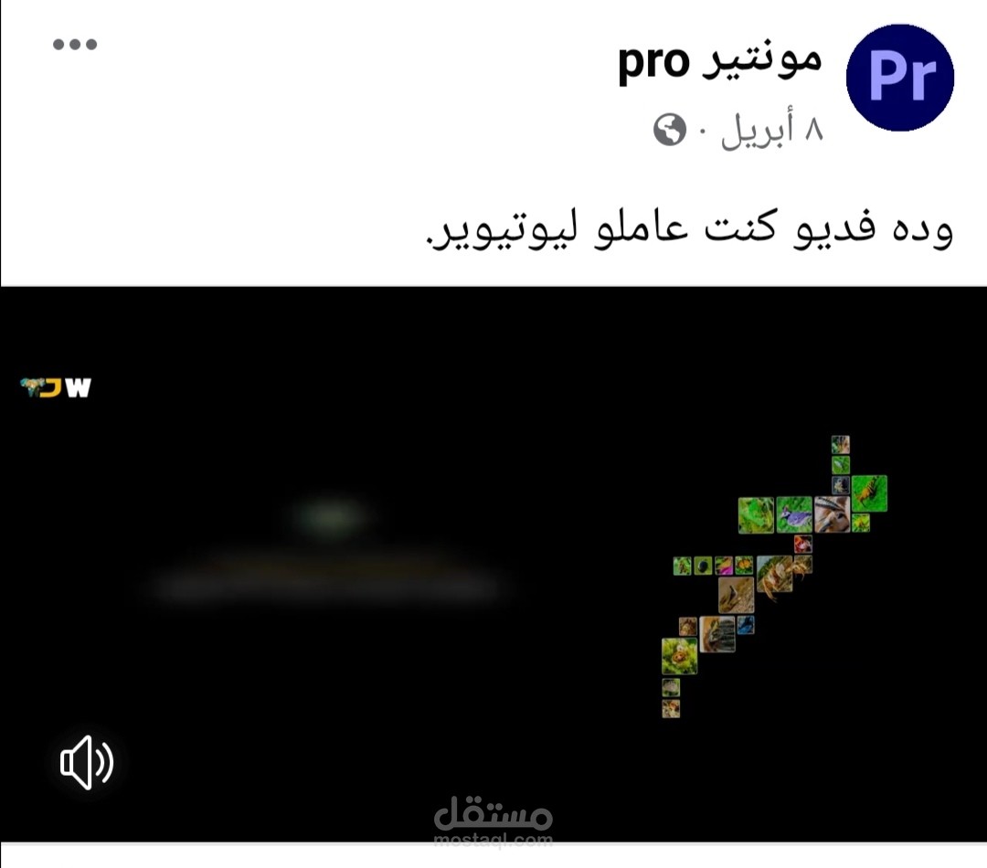 عمل فديو ليوتيوبر عن الطببعة