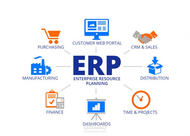 إدخال وتنظيم بيانات محاسبية كاملة على برامج ERP عن بُعد