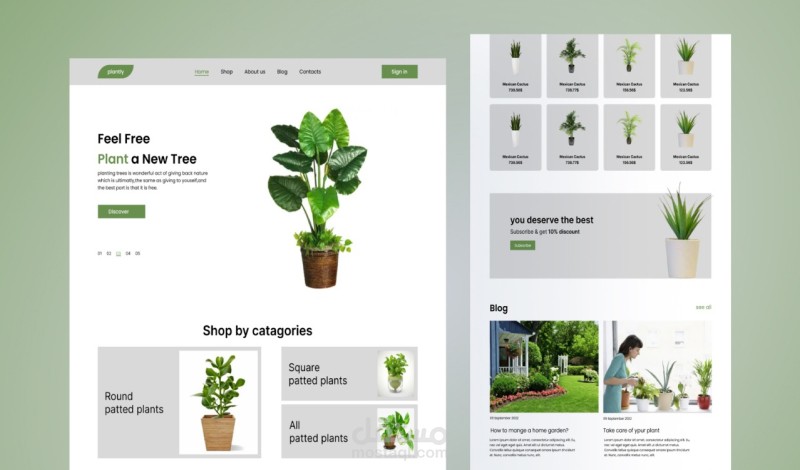 صفحة هبوط (Landing page) للنباتات