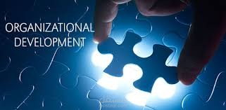 organization development consultant
