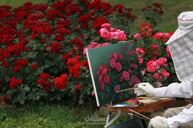 فيديو مونتاج عرض صور ( ألبوم صور )