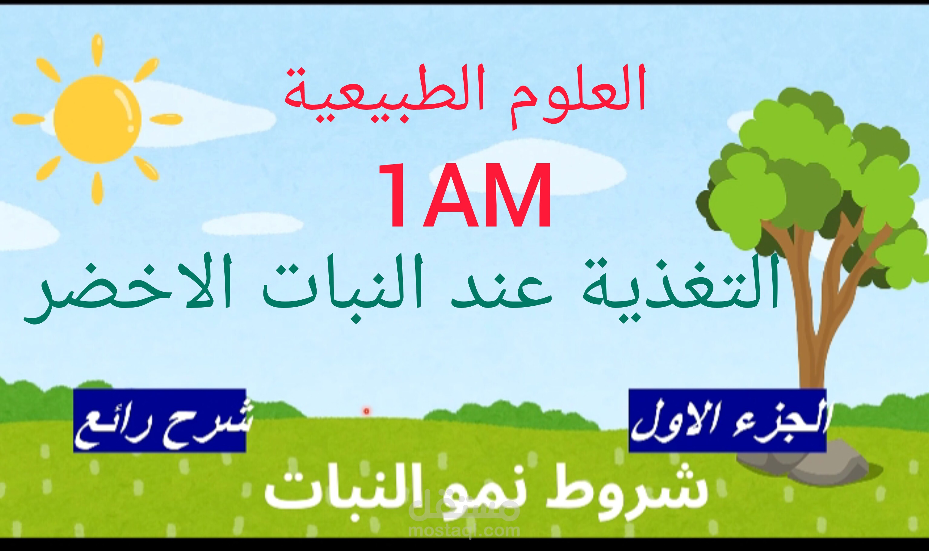 عرض تقدمي تعلمي