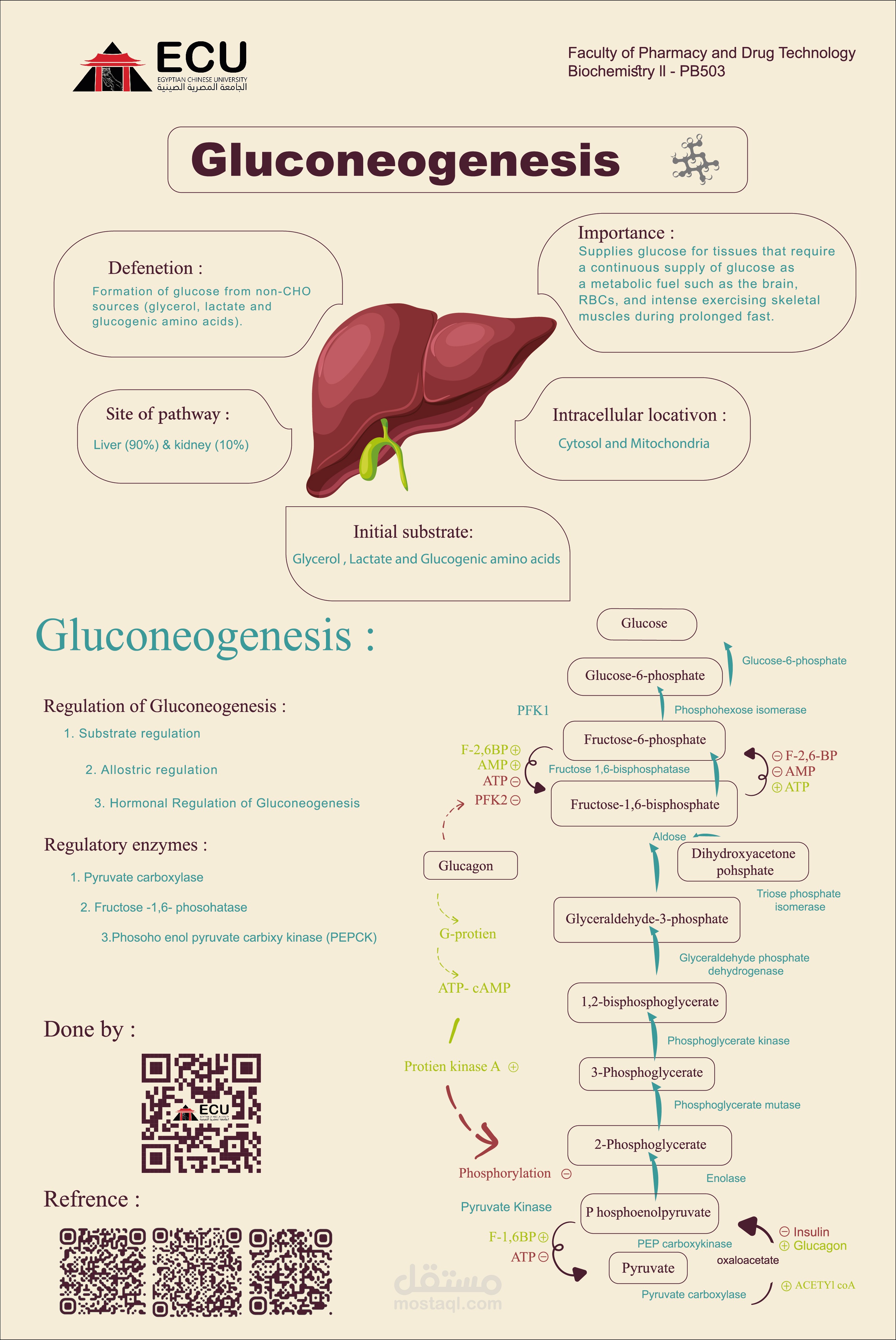 بوستر علمي لكلية الصيدله