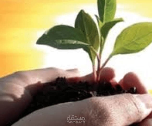 العمل التطوعي