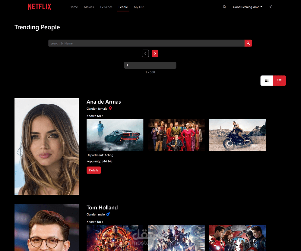Netflix clone Website