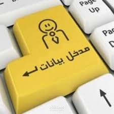 مدخل بيانات