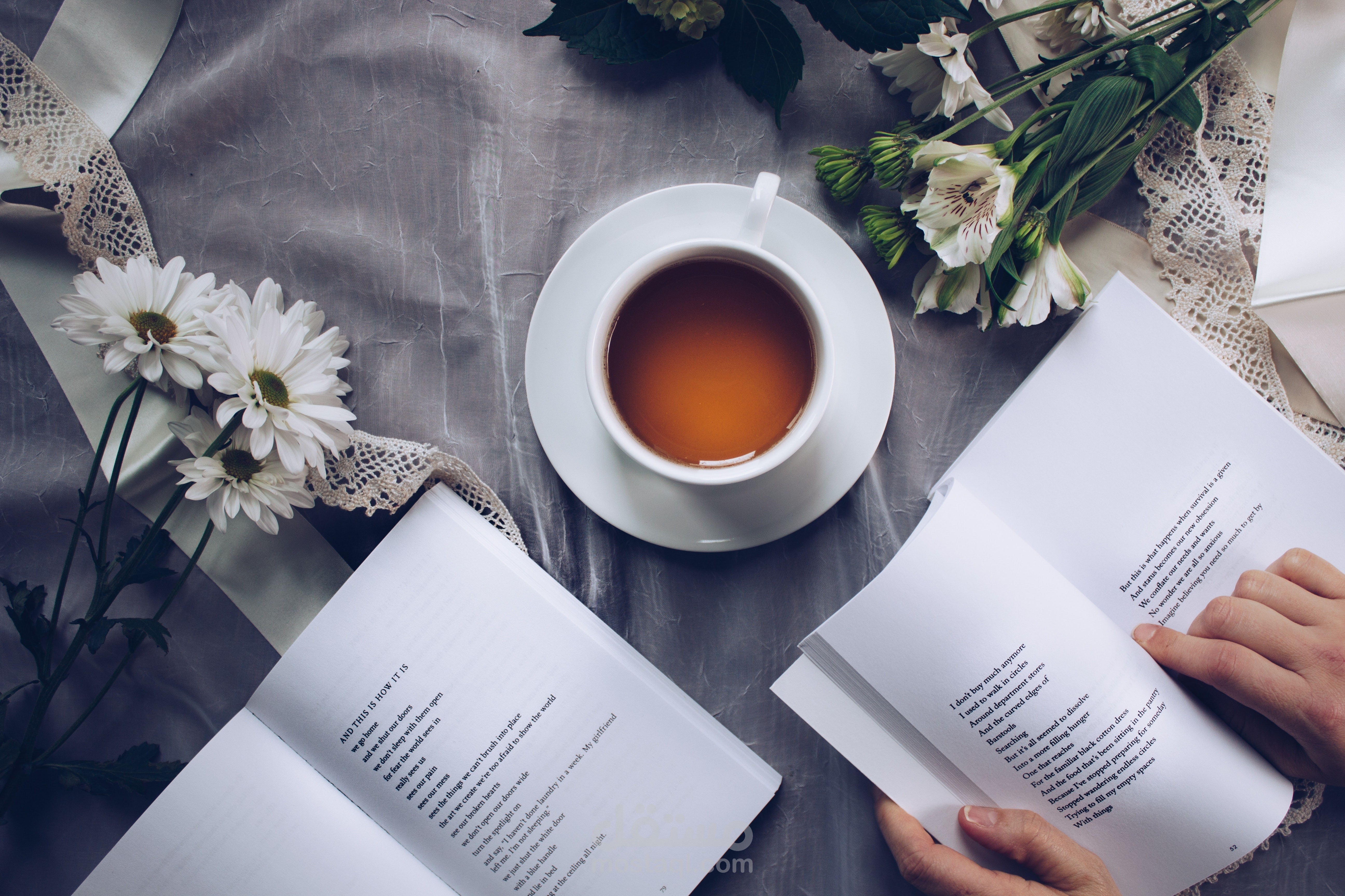 كتابة محتوى خاص بملخصات الكتب