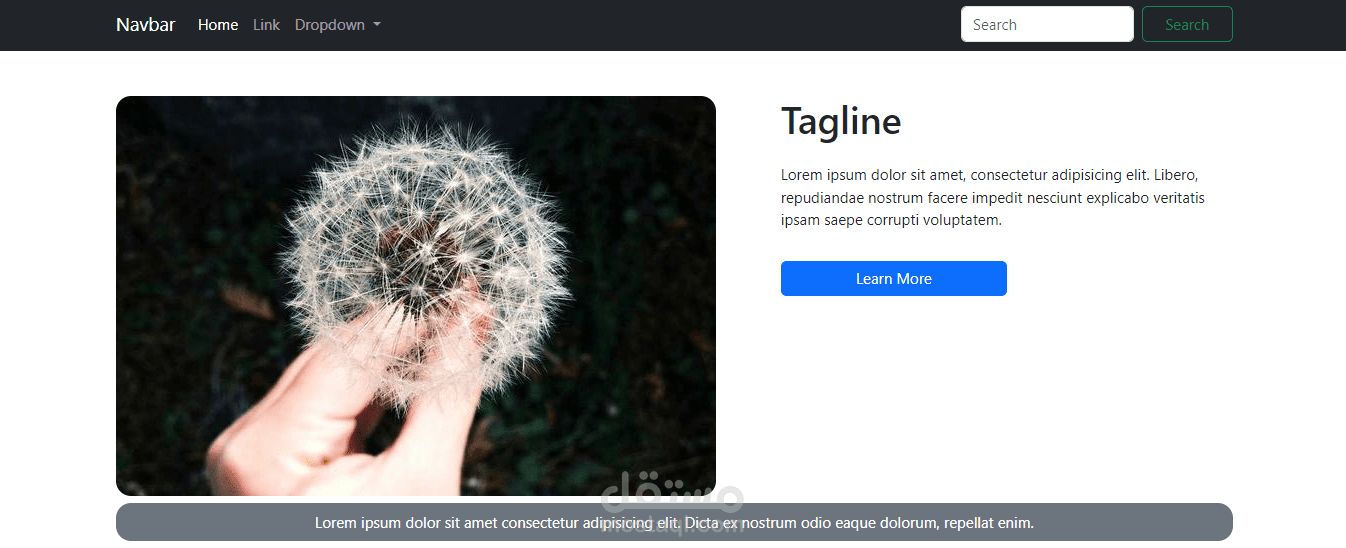 تصميم Landing Page لموقع ويب.
