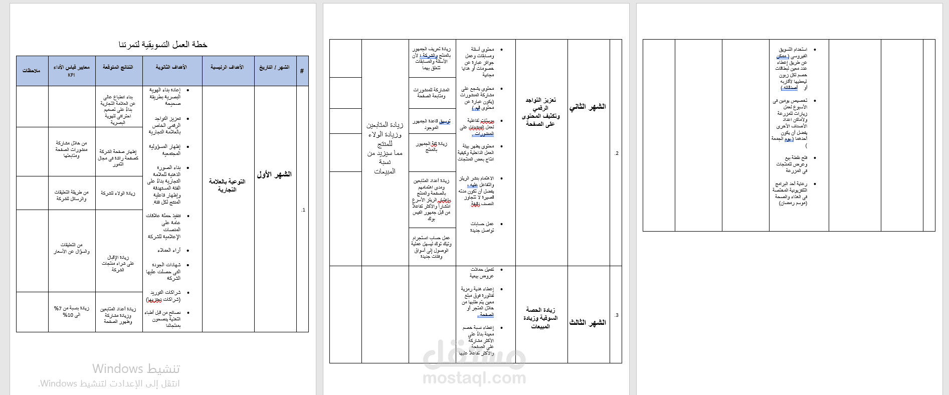 خطة تسويق لشركة تمرتنا