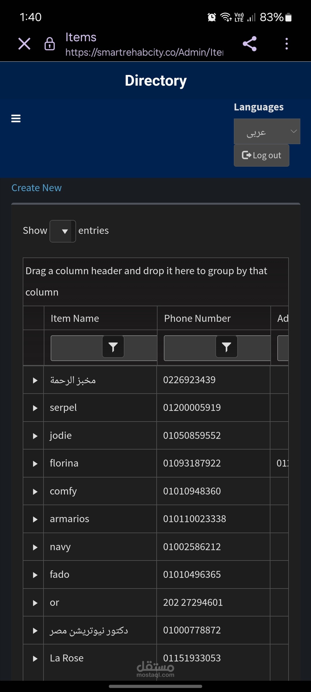 ادخال بيانات