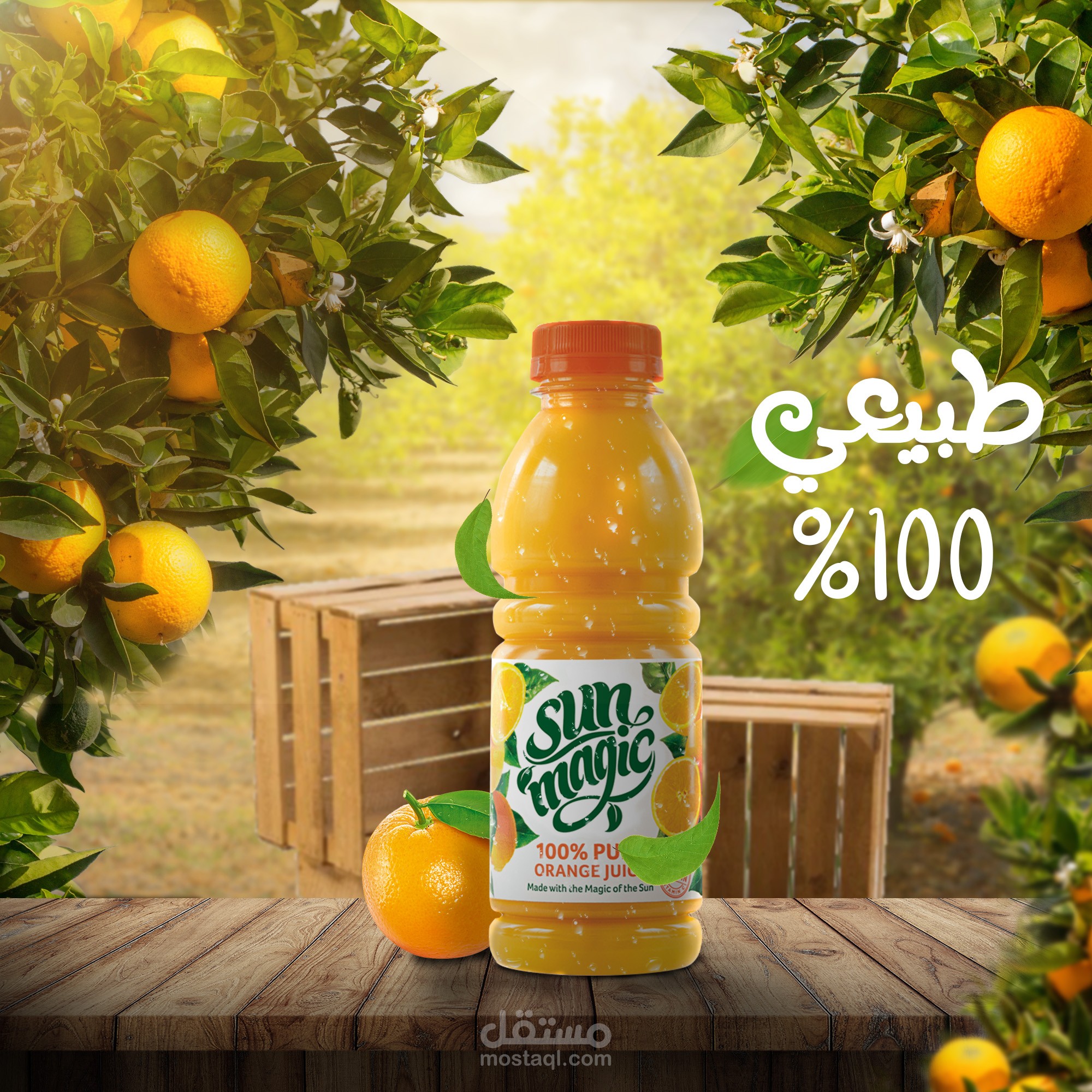 تصميمات سوشيال ميديا