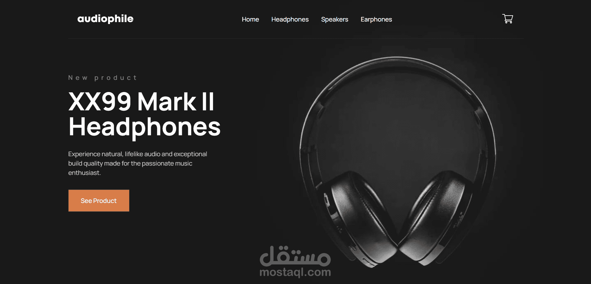 audio phile E-commerce website