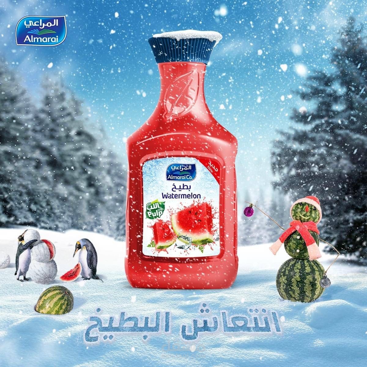 سوشيال ميديا