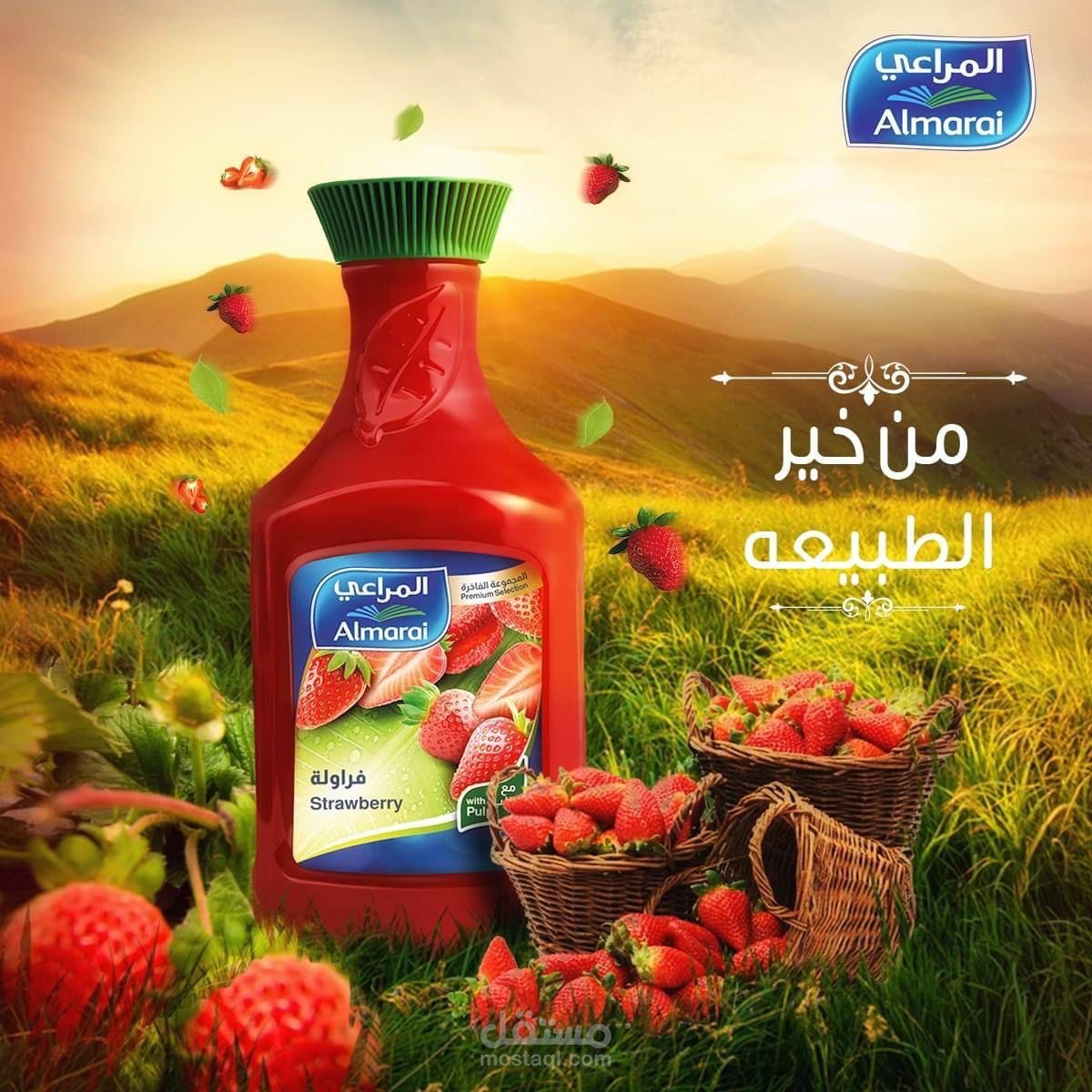 سوشيال ميديا