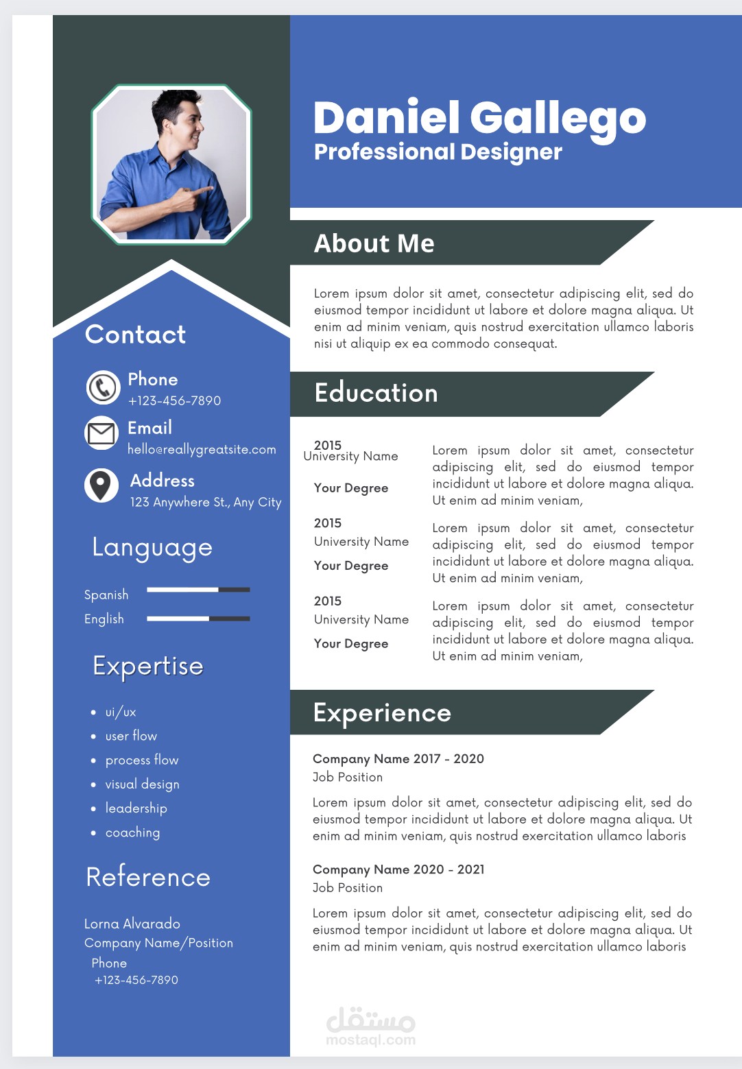 Professional resumes (CV)