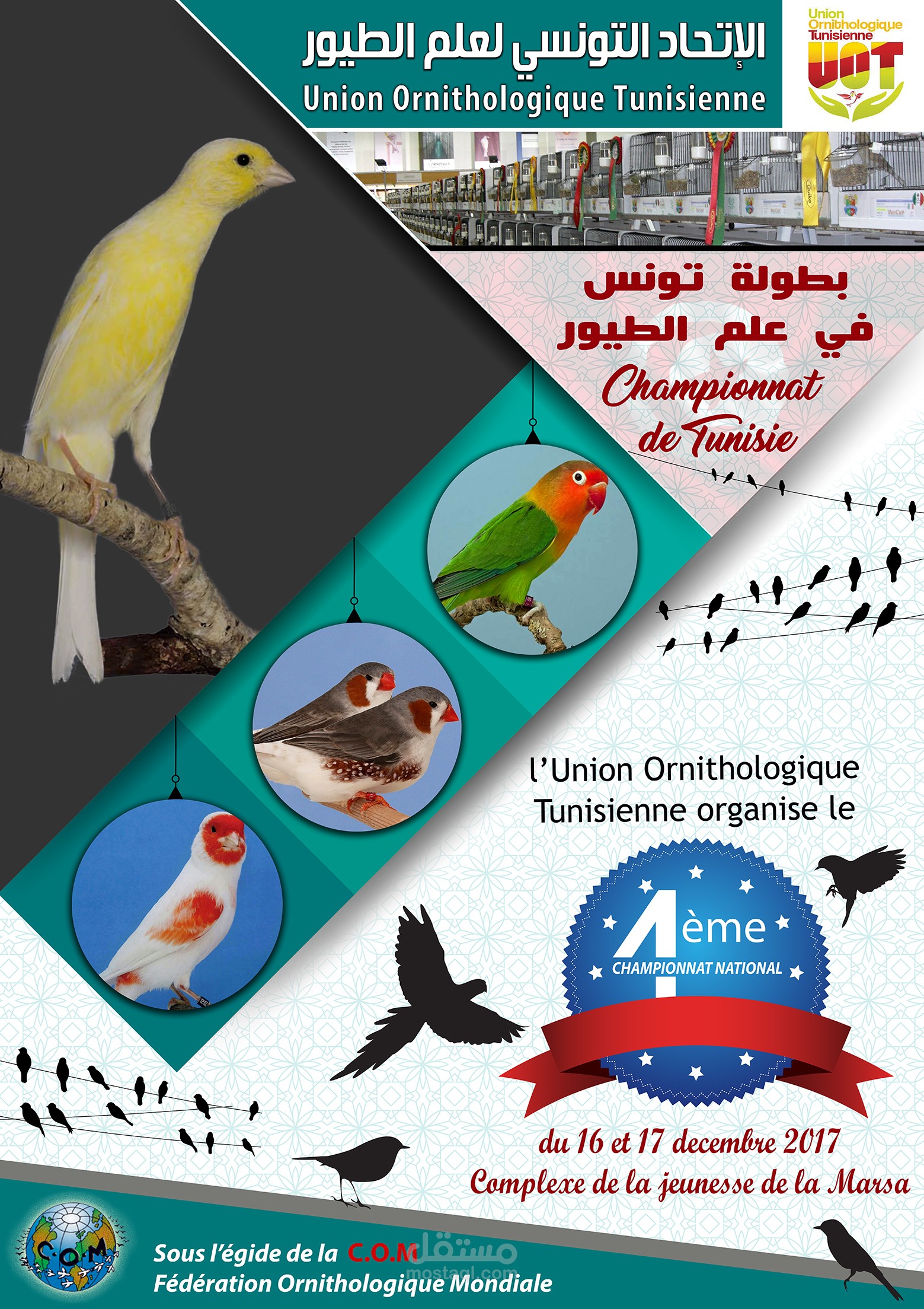 معلقة بمناسبة مسابقة وطنية تنظمها جامعة الطيور بتونس