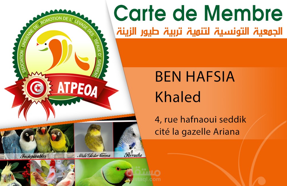 بطاقات إنخراط