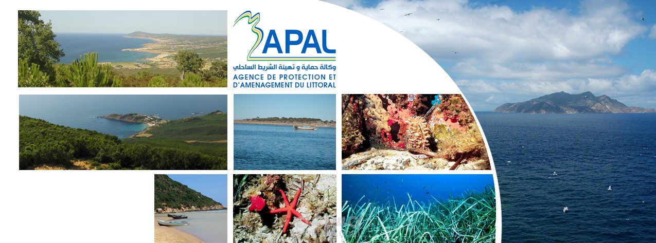 معلقة صفحة فيسبوك