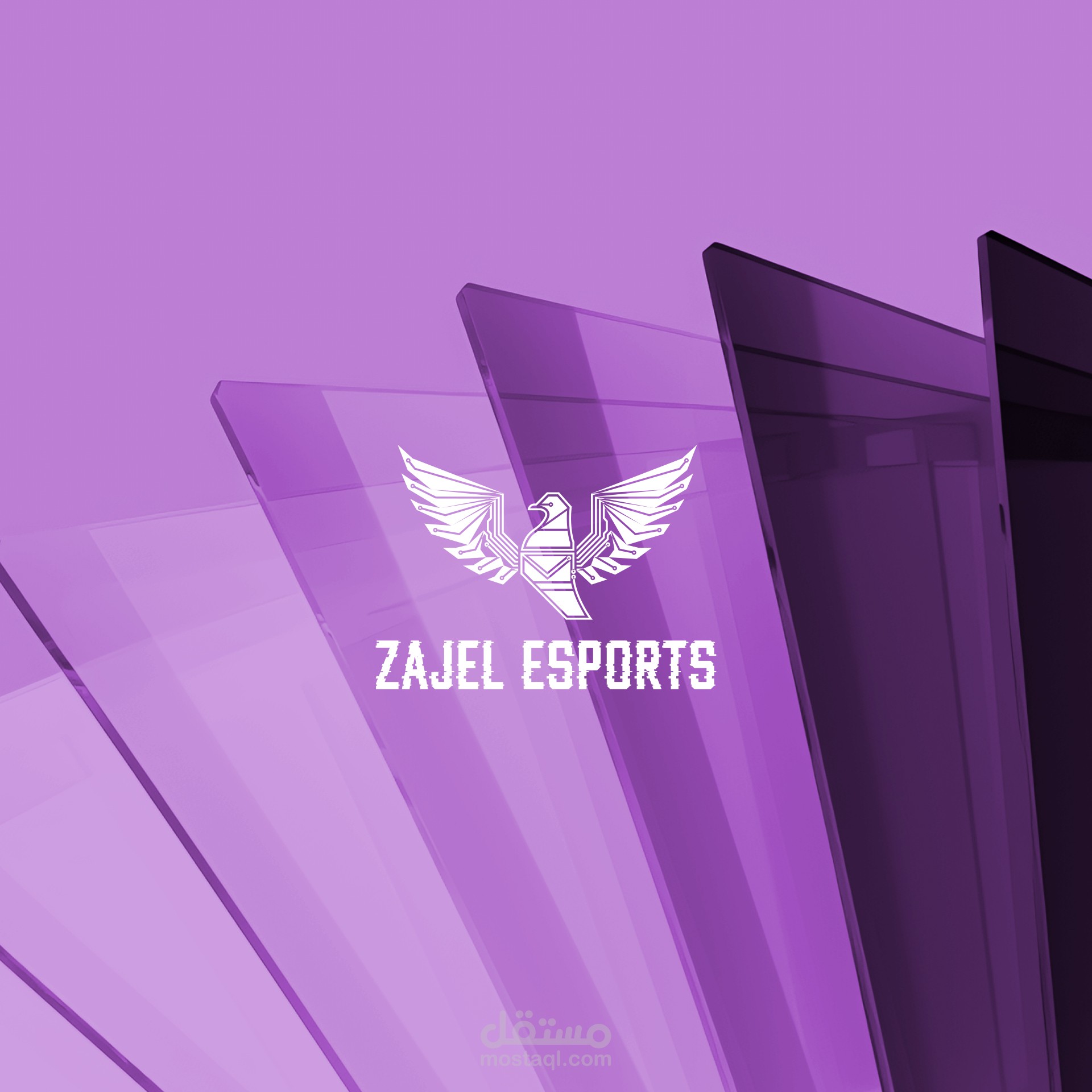 Zajel Esports | visual identity
