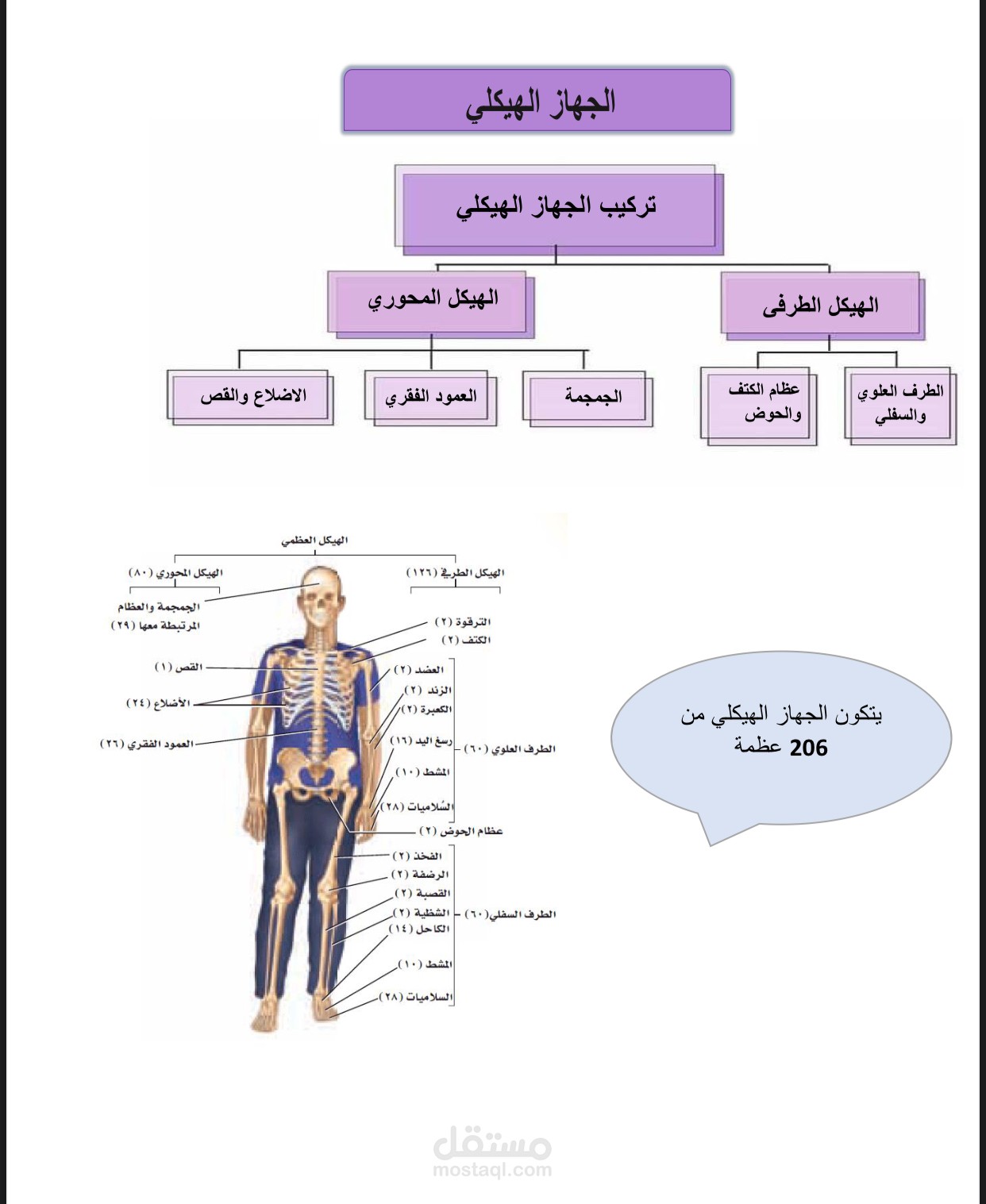 إعداد ملخصات وأسئلة بطريقة مميزة